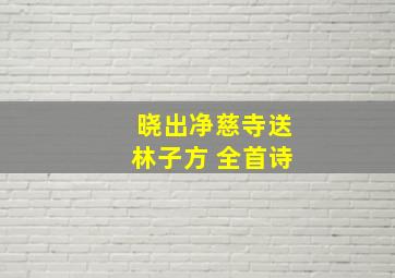 晓出净慈寺送林子方 全首诗